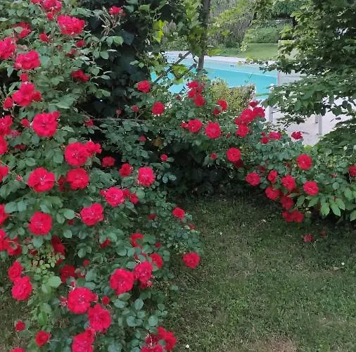 Valchero Bed and Breakfast Carpaneto Piacentino